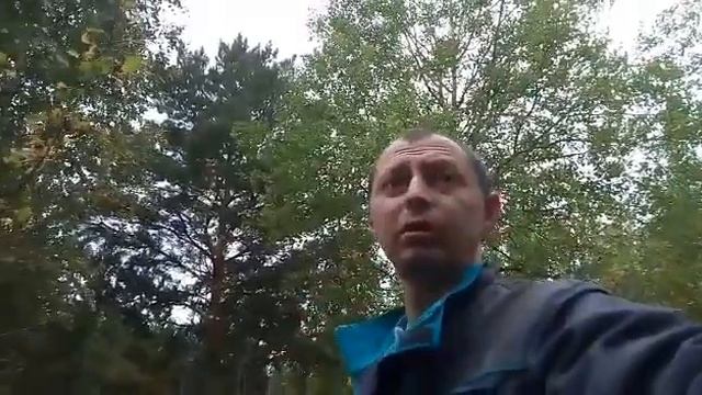 Металло－Коп на стариной дороге смотреть онлайн