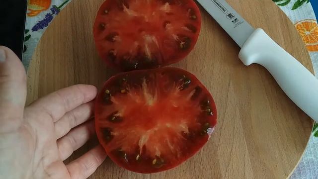 Дегустация и обзор томата Голубой Казахстан смотреть онлайн