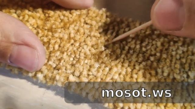 Определение химического волокна тестом на хемостойкость смотреть онлайн