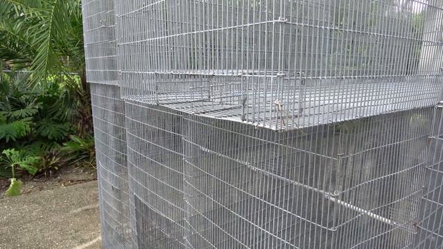 A Day With My Teacher Mr. Tony Silva смотреть онлайн