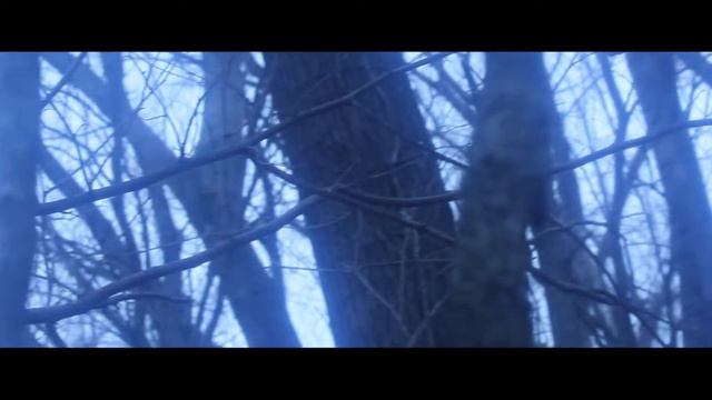 Violets Bloom at an Empty Grave (Fabio Frizzi scored Italian Horror inspired short ala Fulci etc.) смотреть онлайн