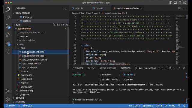 Run an angular application with bun смотреть онлайн