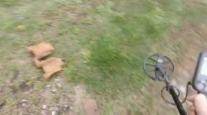 Нокта Макро Симплекс Плюс и Ванквишь 440 настройка приборов и определение целей