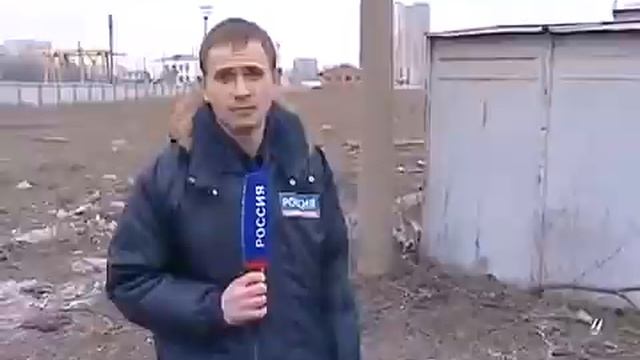 Агрессивные собаки нападают на астраханцев смотреть онлайн