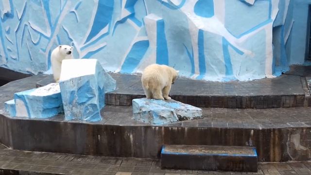 Мамин хвостик... смотреть онлайн