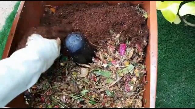 EVA from ENDLESSLY GREEN. Your Home Composting Companion смотреть онлайн
