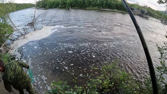 На удочку форель смотреть онлайн