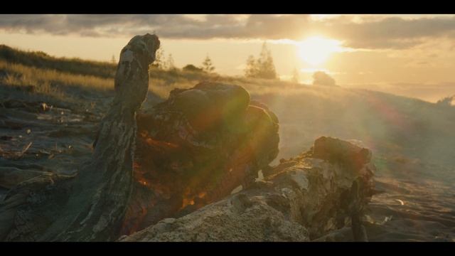 Lumix G X Vario PZ 14-42mm F3.5-5.6 Lens | BMPCC4K Test