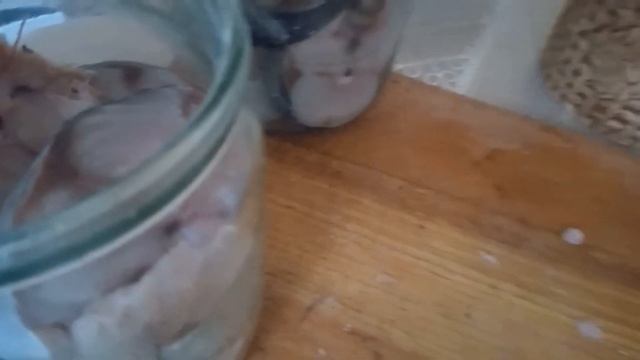 САРДИНА В МАСЛІ (2 ВАРІАНТ) смотреть онлайн