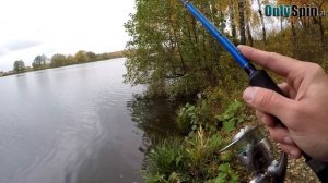 Сильные стороны и уловистые проводки воблеров Rudra и  Varuna  #OnlySpin