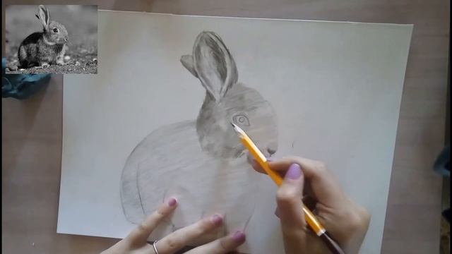 Как нарисовать зайчика карандашом/How to draw a banny /Рисунок для начинающих смотреть онлайн