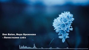 Dan Balan, Вера Брежнева - Лепестками слёз
