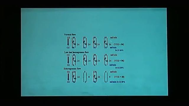 MACROCIRCULACION Y MICROCIRCULACION смотреть онлайн