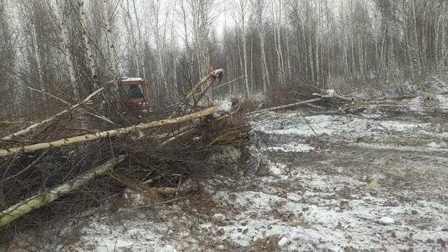 Зимнее корчевание берёз ДТ 75 Опять поломка. смотреть онлайн