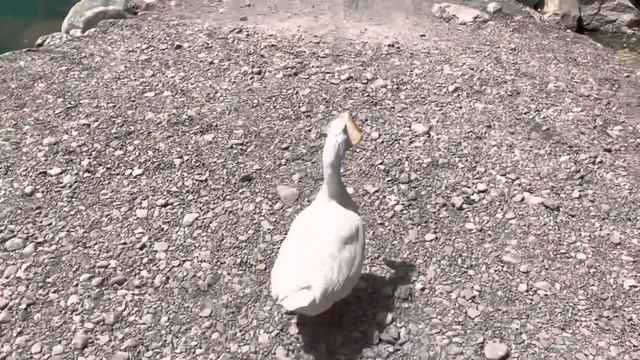 НЕ ПРИЕЗЖАЙТЕ в ТУРЦИЮ ПОКА НЕ ПОСМОТРИТЕ ЭТО ВИДЕО. КЕМЕР. КАНЬОН ГЮЙНЮК. СУПЕР МЕСТО. MUST SEE смотреть онлайн