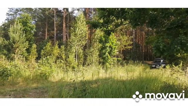 Выходной день, когда живешь возле Припяти смотреть онлайн