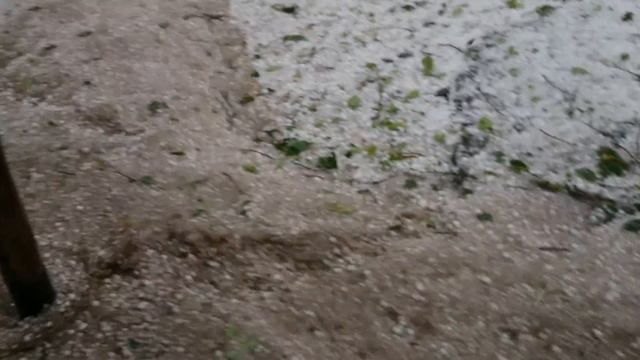 Шутки природы смотреть онлайн
