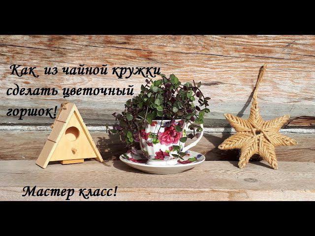 DIU dekor \ Как из чайной кружки сделать - цветочный горшок! \Солейролия\Мастер класс смотреть онлайн