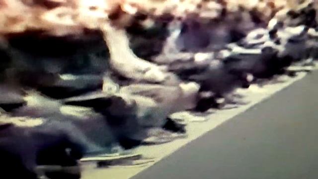 VID 00000144 BLACK EYES AND TO MANY EYES RRR LOOKING FOR WHAT ?? смотреть онлайн