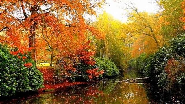 "Ласковая осень" Дунаева Софья смотреть онлайн