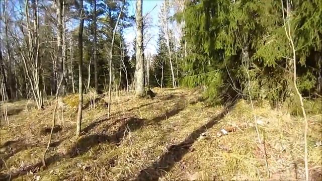 Canon Ixus 220 HS - HD Video test смотреть онлайн