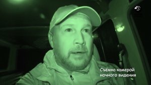 Охота на лося на реву. Осень. // Охота с луком