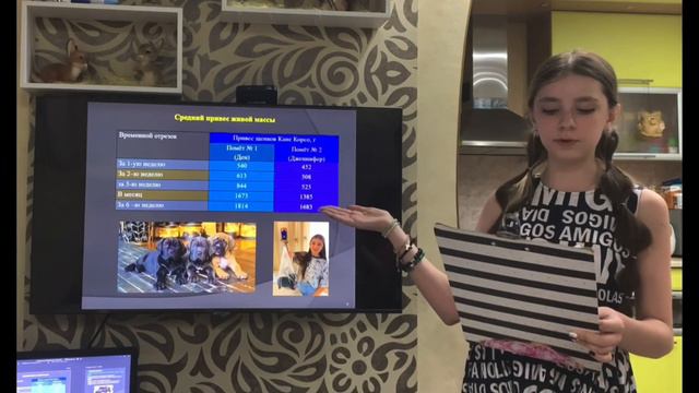 Работа «Оценка выживаемости и развития щенков собаки породы Кане Корсо от очерёдности их рождения»