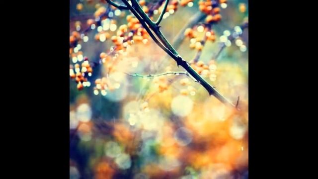 Видеообзор книг «Куриный бульон для души» и другие способы борьбы с осенней хандрой» смотреть онлайн