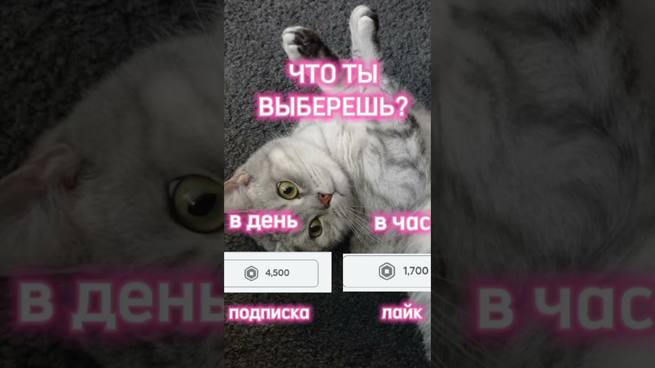 #shorts #sounds #recommended #4k #4kvideo #беззвука #интересно #2024 #нг #имялуна #games #proof смотреть онлайн