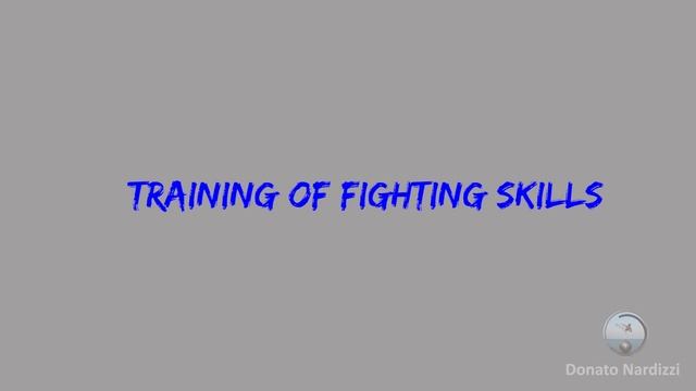 Martial Arts vs Combat Sports vs Self-Defense Systems смотреть онлайн
