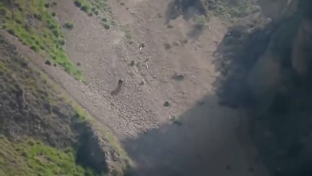Прокат велосипедов в Алматы смотреть онлайн