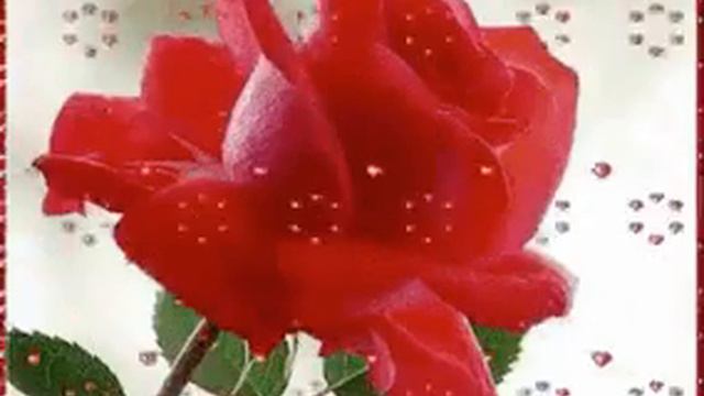 ну тупая суй. оаячс и في تخنت و. وت ء ى لة ى لة ب. اتш смотреть онлайн