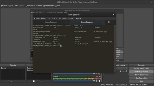 Docker + Ngrok, publica tu web para que la vea un amigo. смотреть онлайн