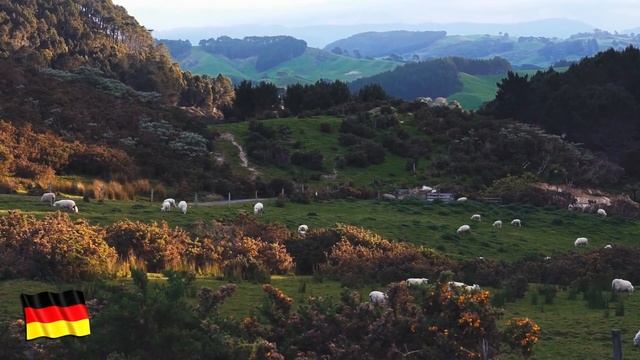 Каникулы с мультимиллионером из Германии смотреть онлайн