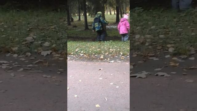 Прогулки в Александровском Парке. Город Пушкин. смотреть онлайн