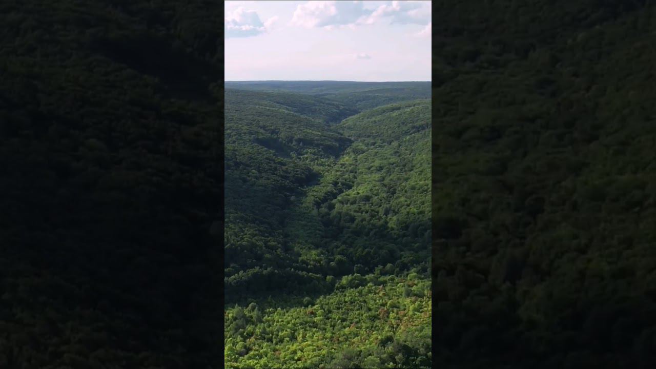 село Торновое, Самарская область смотреть онлайн