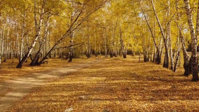 Petropavl_Autumn_08_10_2022_01 смотреть онлайн