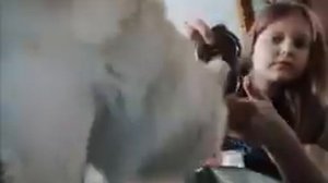 24 БЕЗ НИЖНЕГО БЕЛЬЯ, собираю чемодан в Питер💓