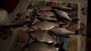 Зимняя рыбалка на текстилке в бийске!