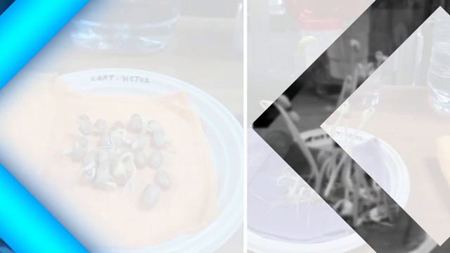 Кувшин Граф - идеальный фильтр для полезной воды! смотреть онлайн