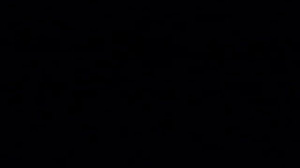 See the description if you're not sensitive for this content! (First Intifada)