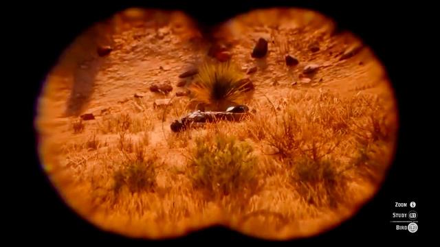 ЛУЧШИЕ ПАСХАЛКИ RDR2 / ОТСЫЛКИ RDR2 И ДЕТАЛИ RDR2