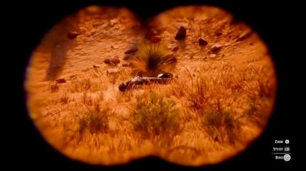 ЛУЧШИЕ ПАСХАЛКИ RDR2 / ОТСЫЛКИ RDR2 И ДЕТАЛИ RDR2