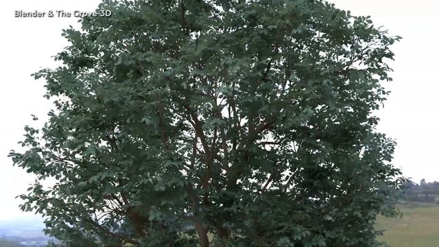 Blender and TheGrove3D test02 смотреть онлайн