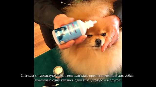 Как пользоваться Starfire's No Stain? смотреть онлайн