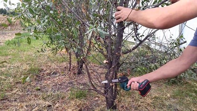 Аккумуляторный сучкорез из Китая, тест. смотреть онлайн