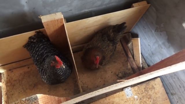 Стройка Ремонтка