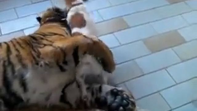 Лучшие друзья смотреть онлайн