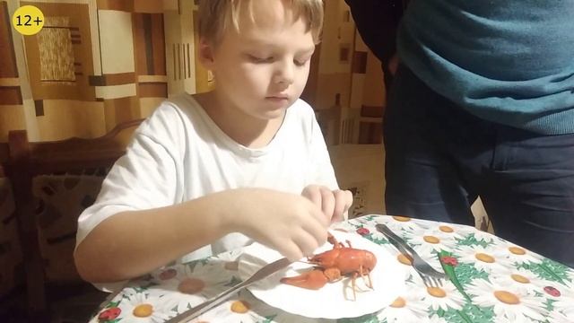 Наши дни 2019 года. Бытовые навыки. 12+ смотреть онлайн
