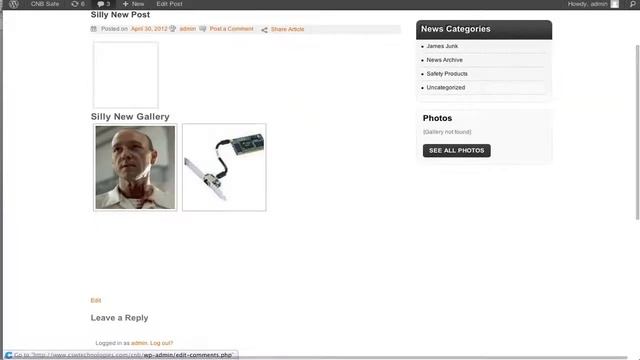 CNB Tutorial: NextGen Photogallery for Wordpress смотреть онлайн